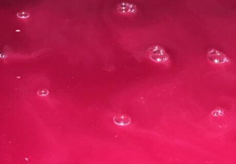 Commentaires 2024 by Bill Nanson